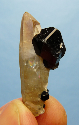 Bi-coloured beryl crystal with schorl attached to it.