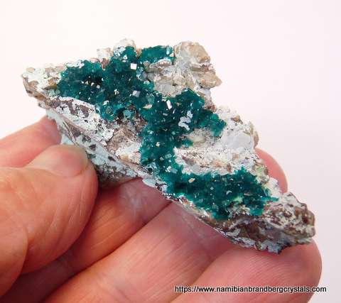 Dioptase crystals on quartz matrix, partly coated with shattuckite