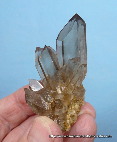 Gemmy smoky quartz crystal group