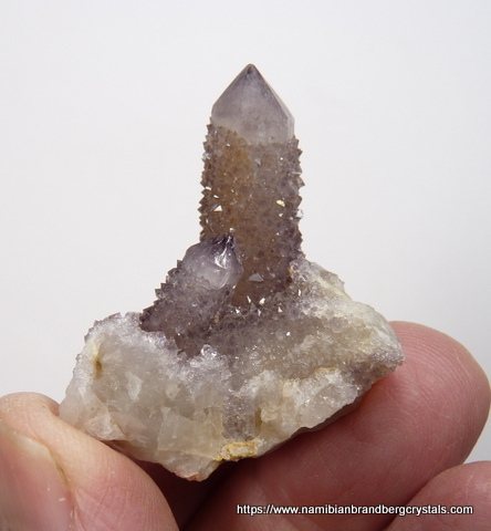 Smoky /amethyst cactus quartz crystals