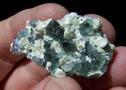 Fluorite crystals on conglomerate of muscovite, feldspar and schorl