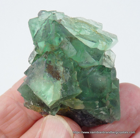 Green fluorite crystals on purple fluorite matrix