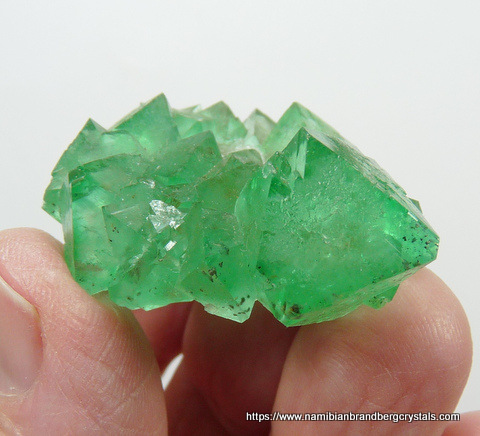 Gemmy fluorite crystal group with pyrite inclusions