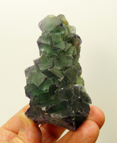 Green fluorite crystal cluster with bits of purple to their edges